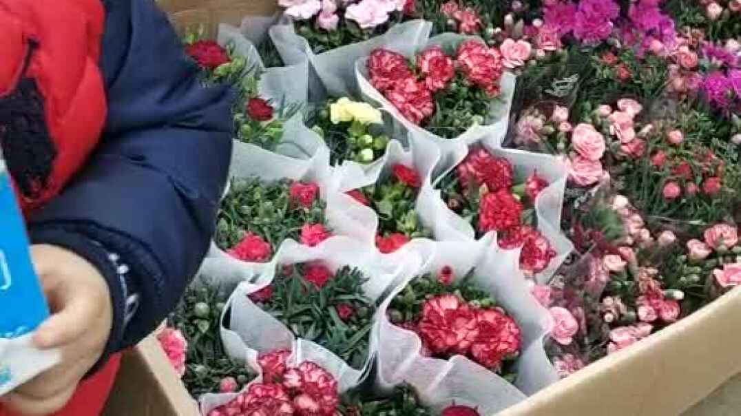 看花的小男孩