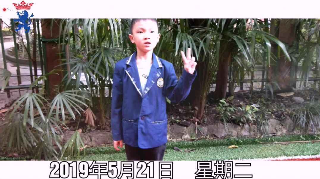 作业小达人