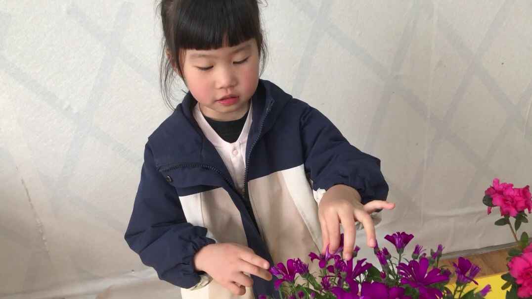 喜欢吗