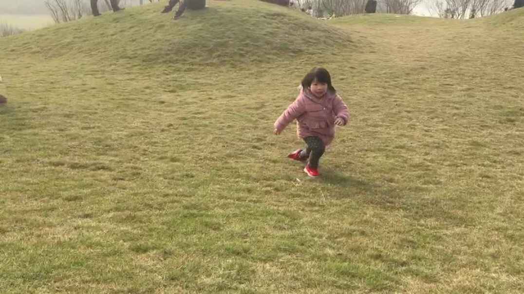 来呀，打滚呀
