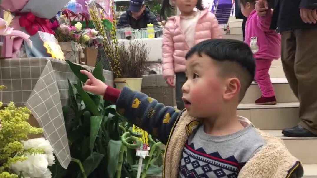 看看我们的花好漂亮