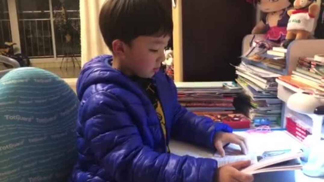 我会数数啦（2）