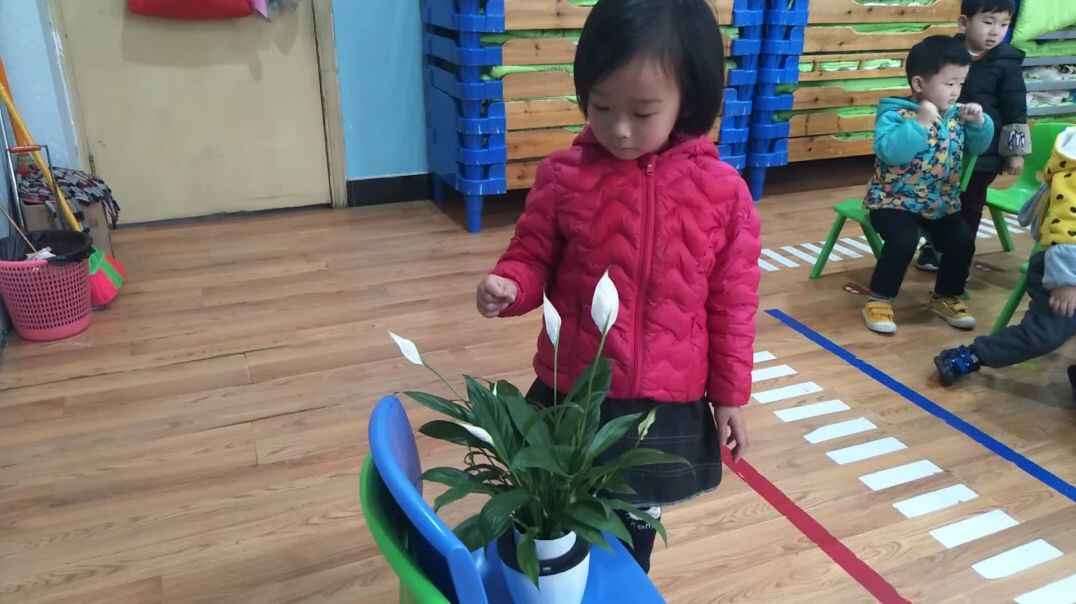 数一数