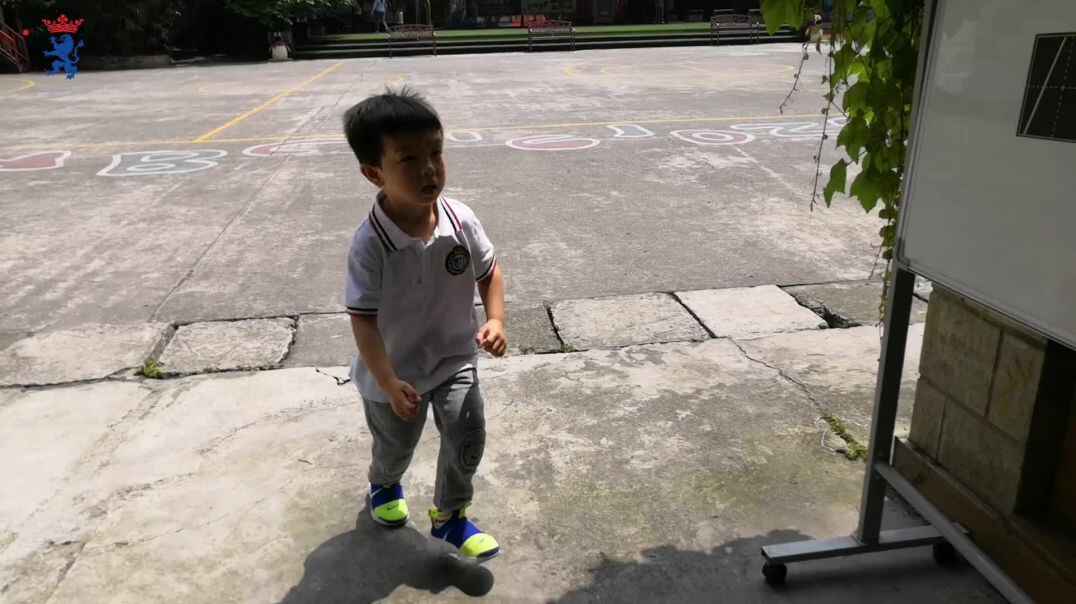 数字的认识