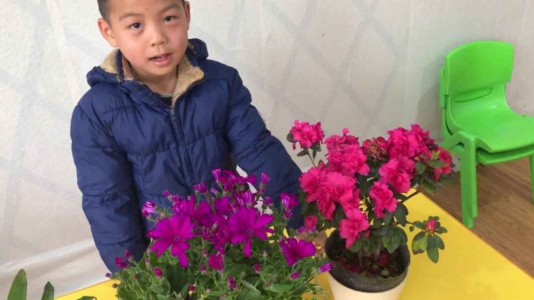 跟我一起这样做