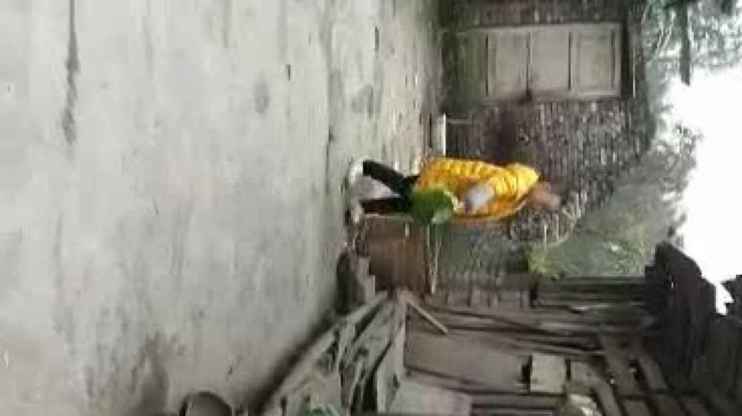 体验乡村生活
