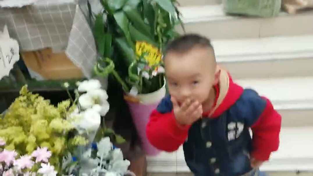 那些地方去看花