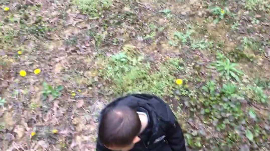 数蒲公英的男孩