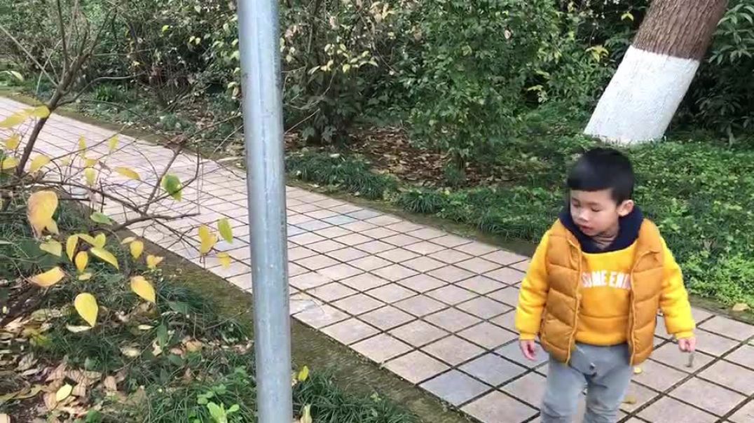参观腊梅花