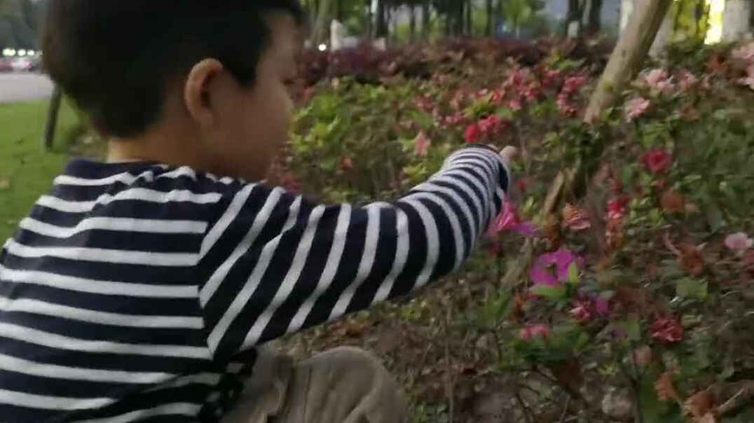 我给花花浇点土