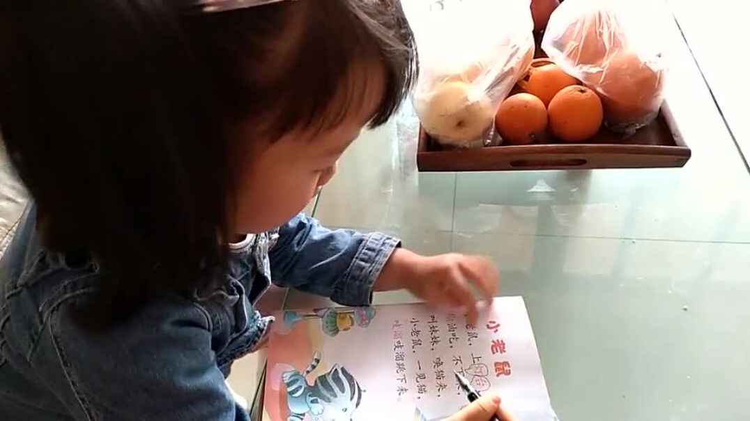 认真阅读的小可爱