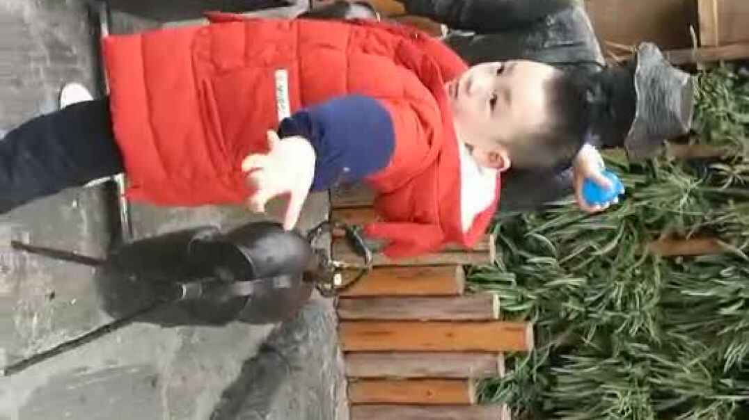 锻炼