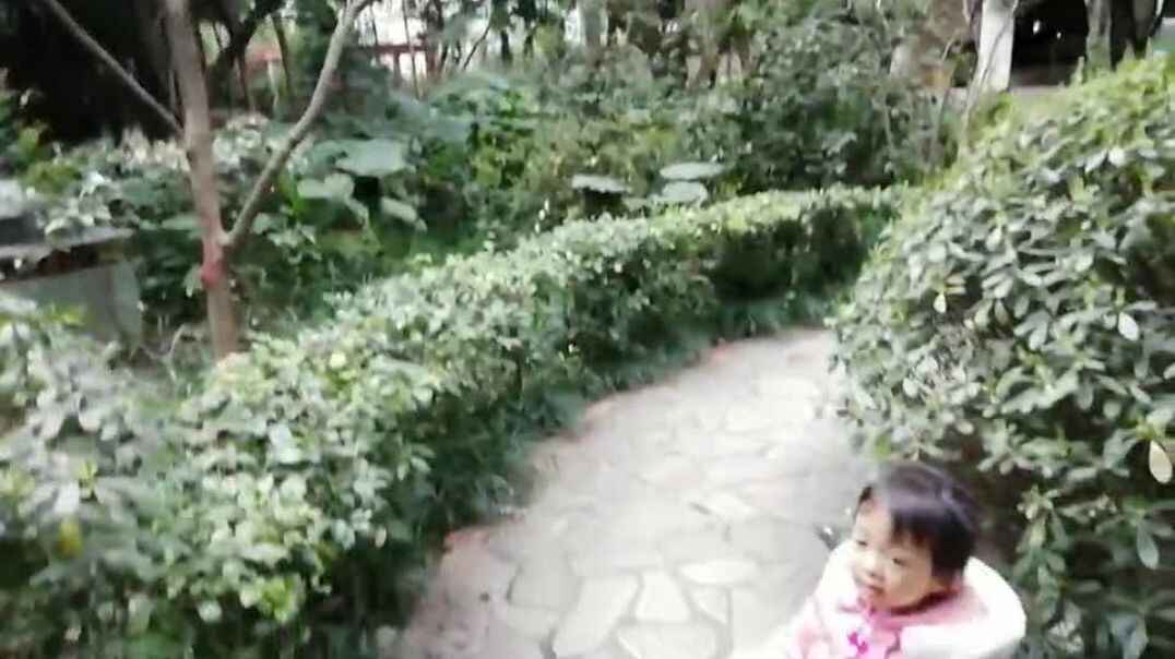 小区里的花