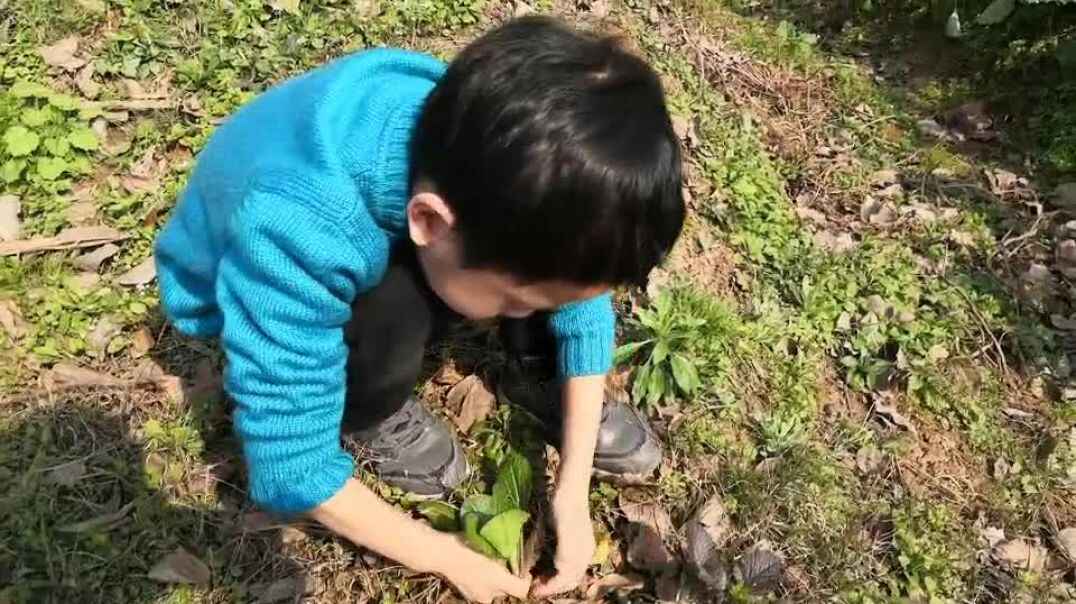 种植