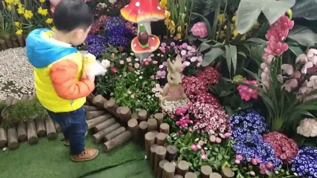花园里的花儿真漂亮