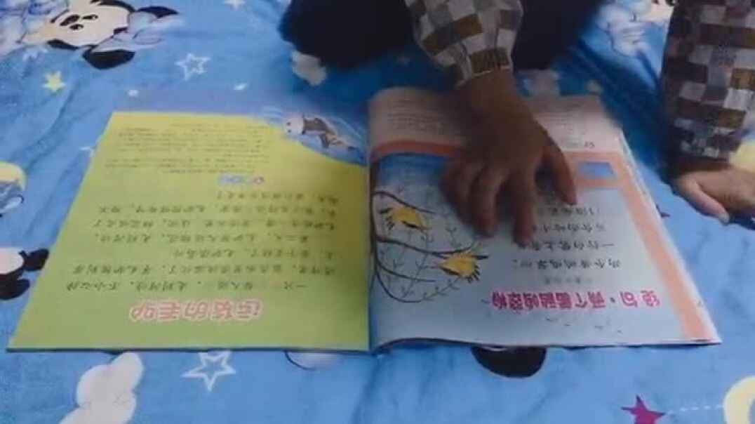 我的表演