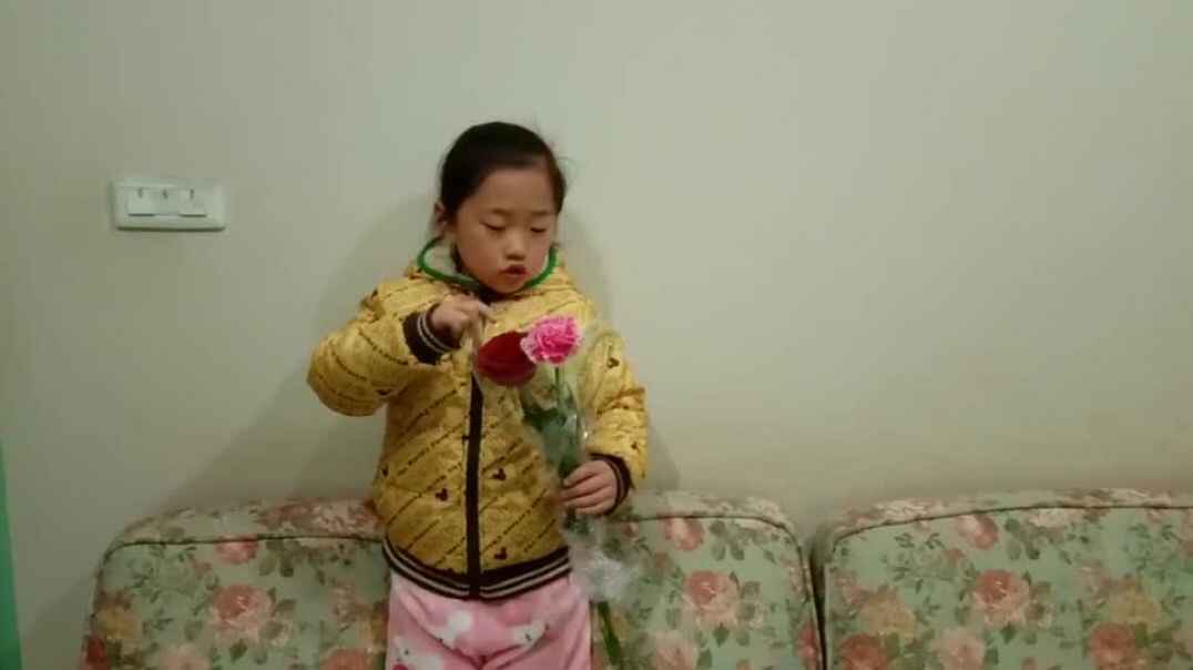 这是什么