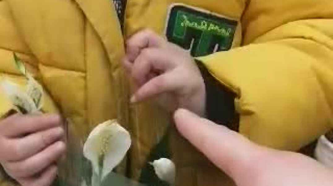 26.mp4
