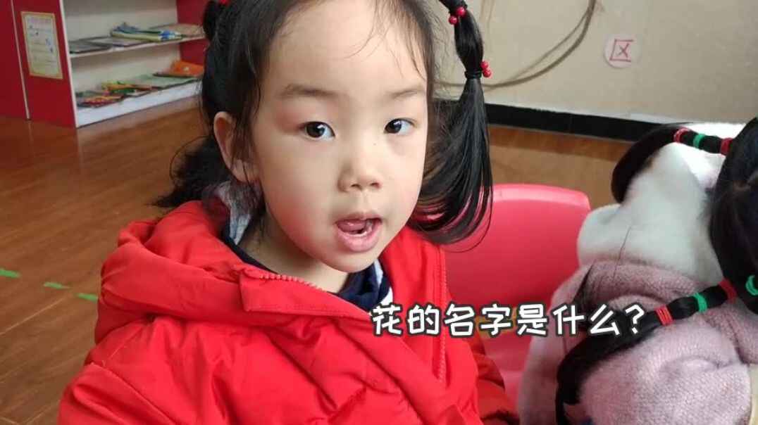 美丽瞬间