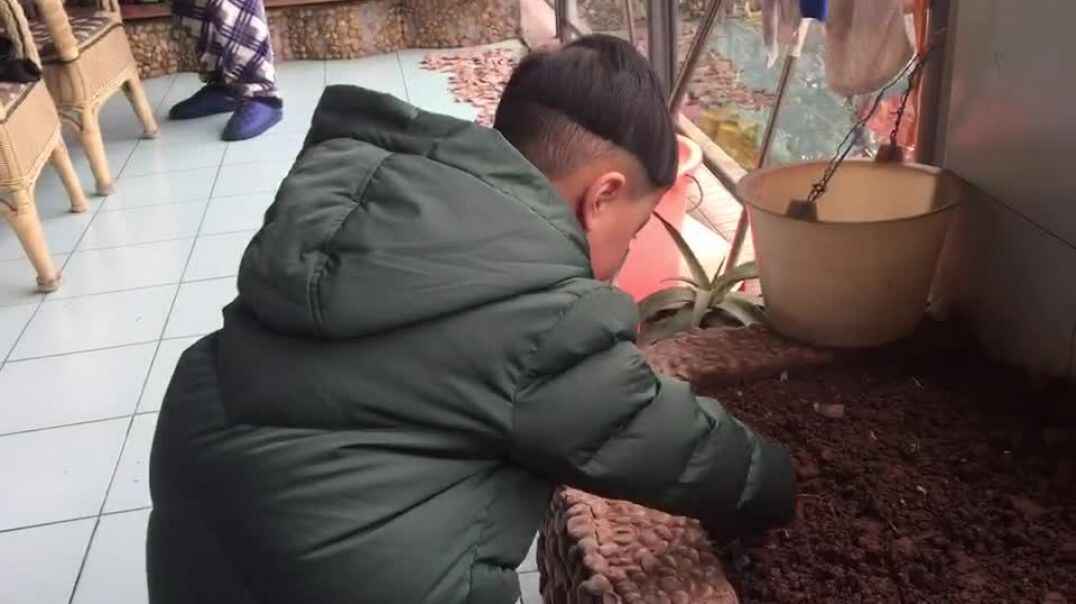 分享喜欢你的花花