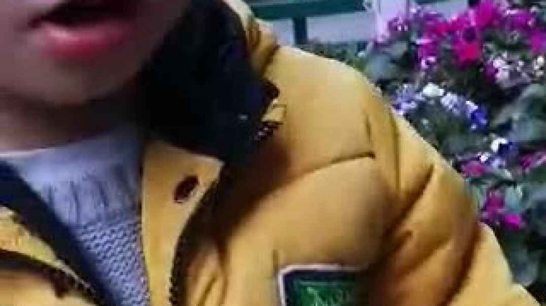 谈谈你喜欢的花