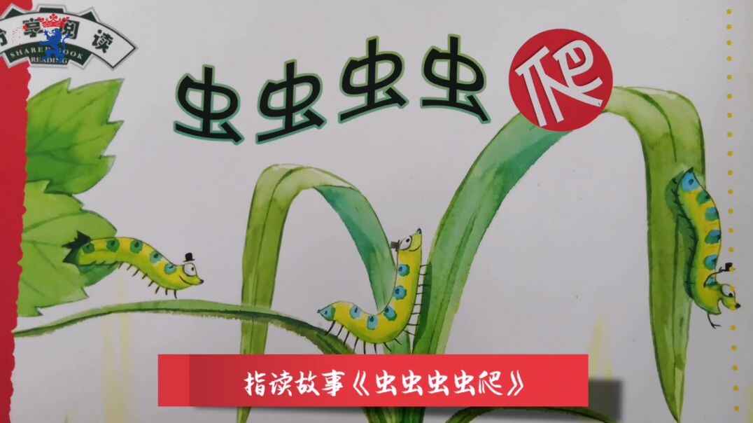 虫虫虫爬