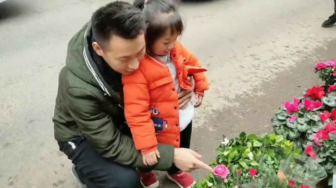 爸爸教我学认花