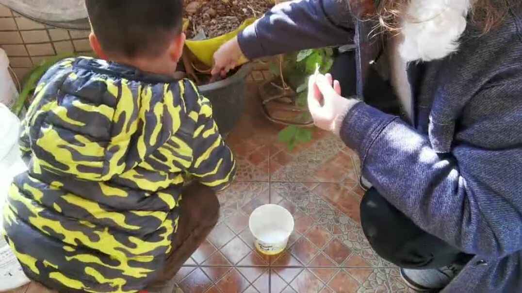 和爷爷一起种花