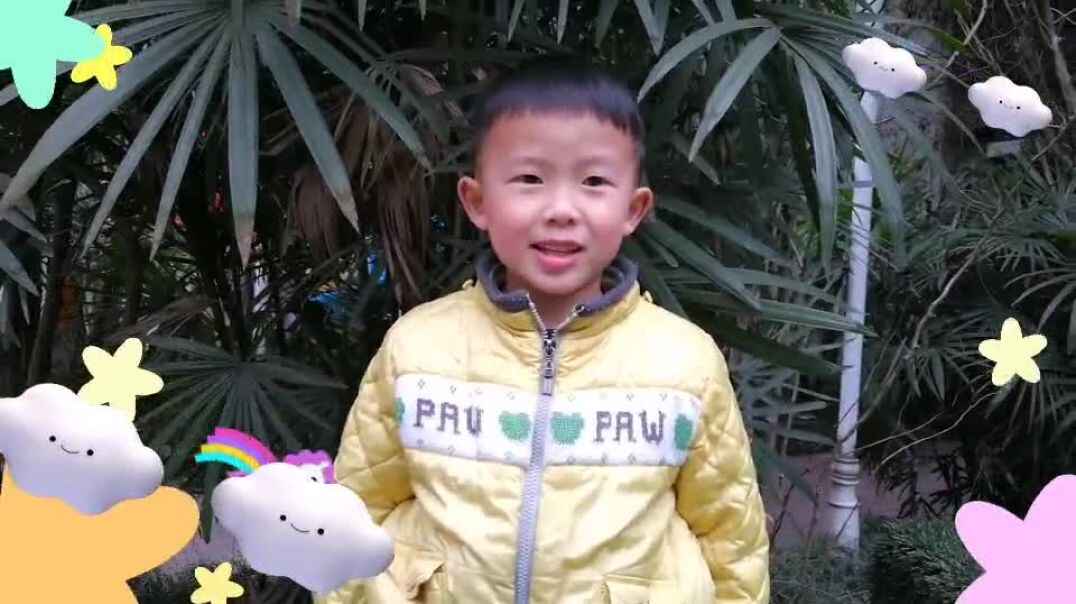 学习认识棉花