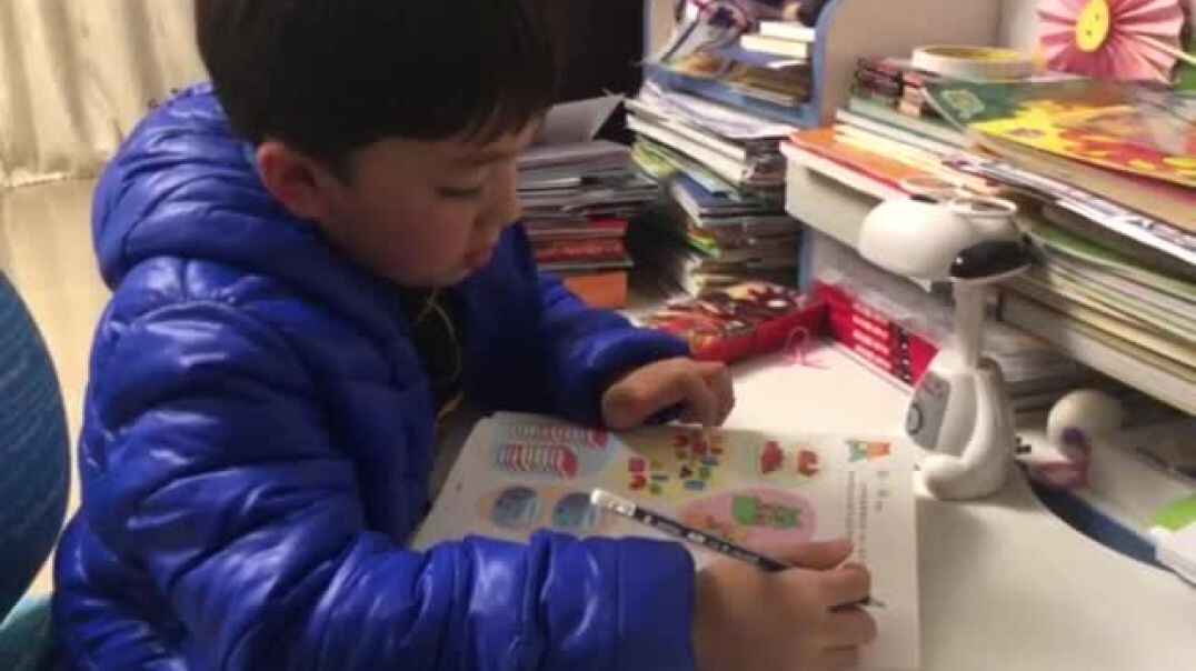 我会数数啦（1）