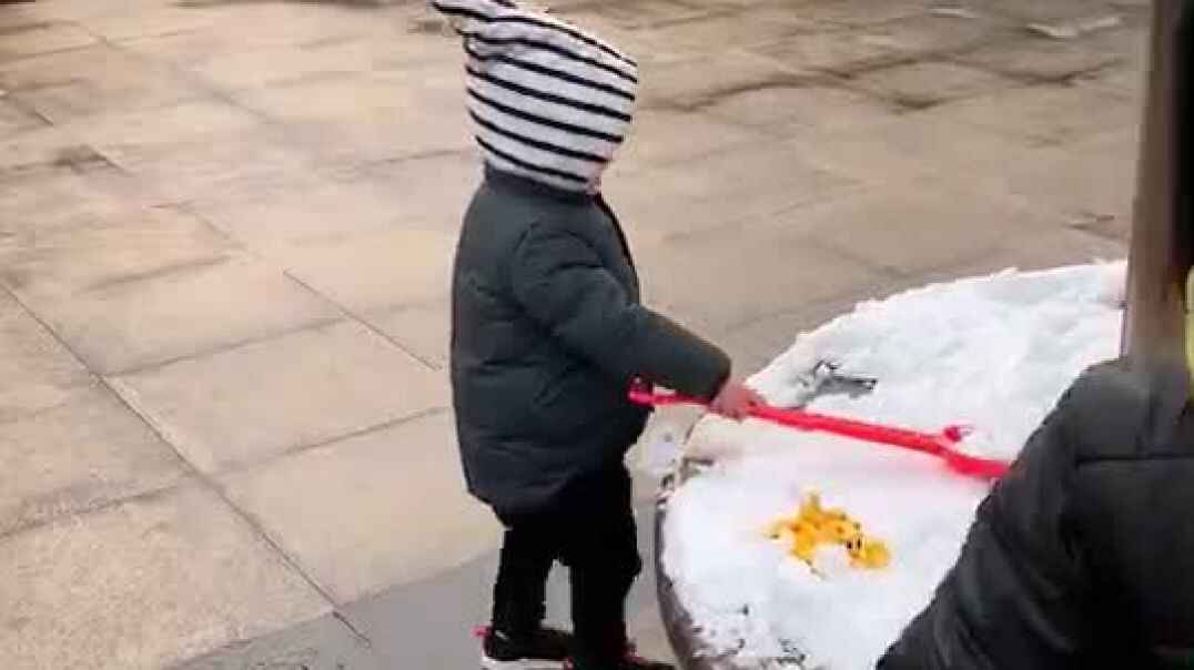 漂亮的雪景