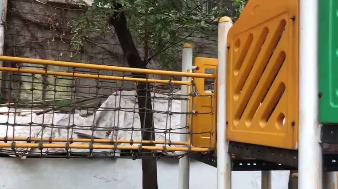 游戏使人快乐