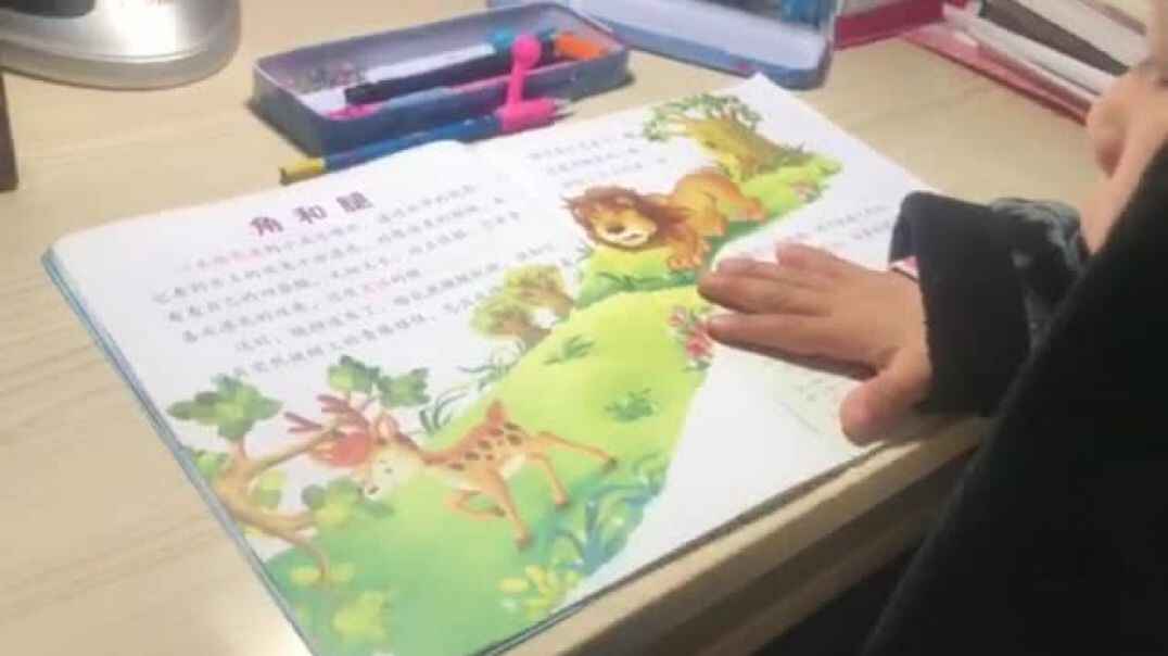 好看的书