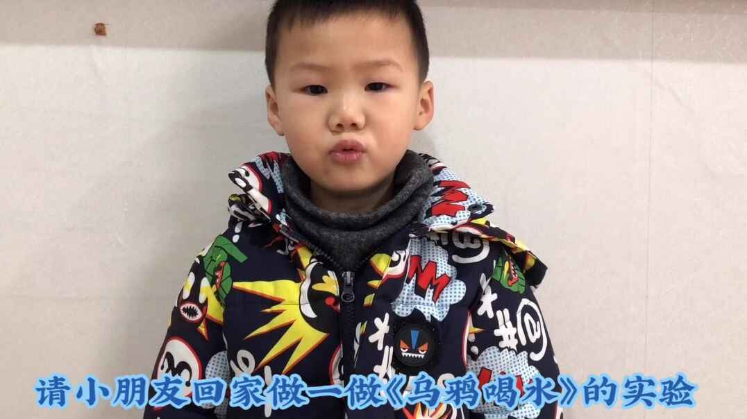 我的小伙伴