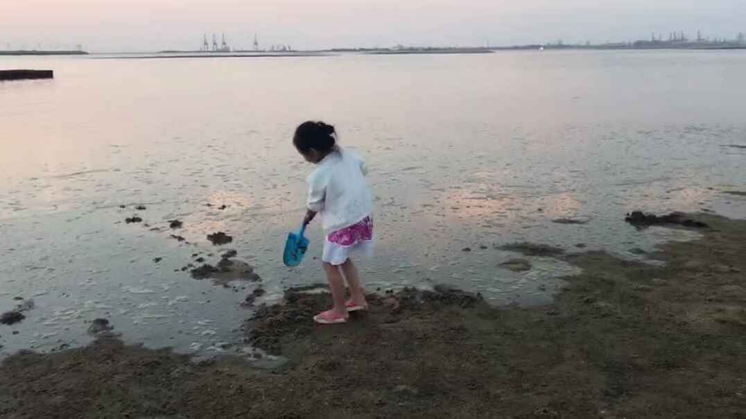31 2019-2-19-2019级B班 玩耍.mp4