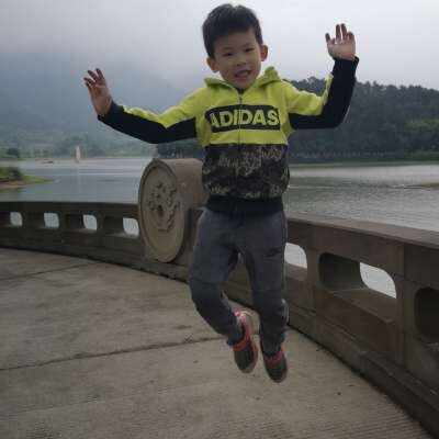 luohan
