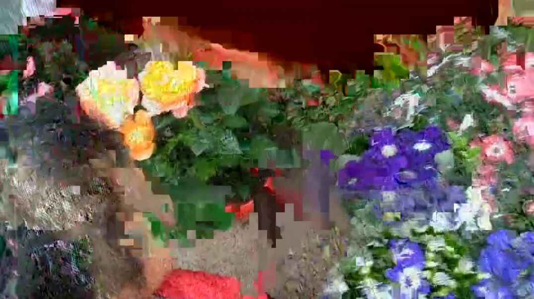 女孩与花