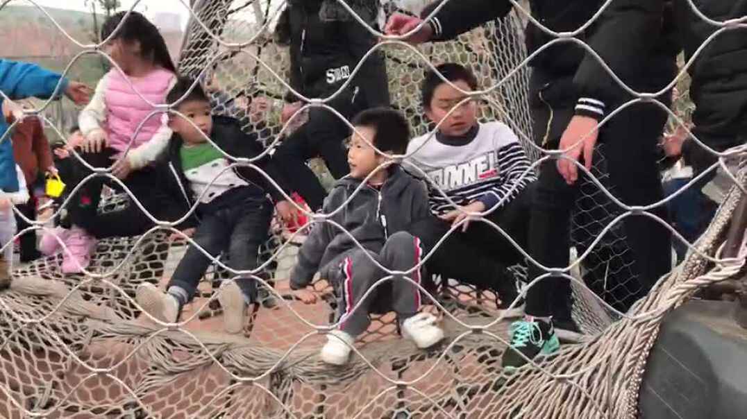 玩乐