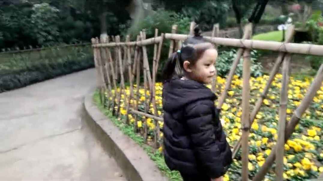 花园与女孩