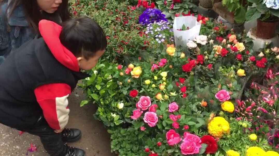 花与男孩