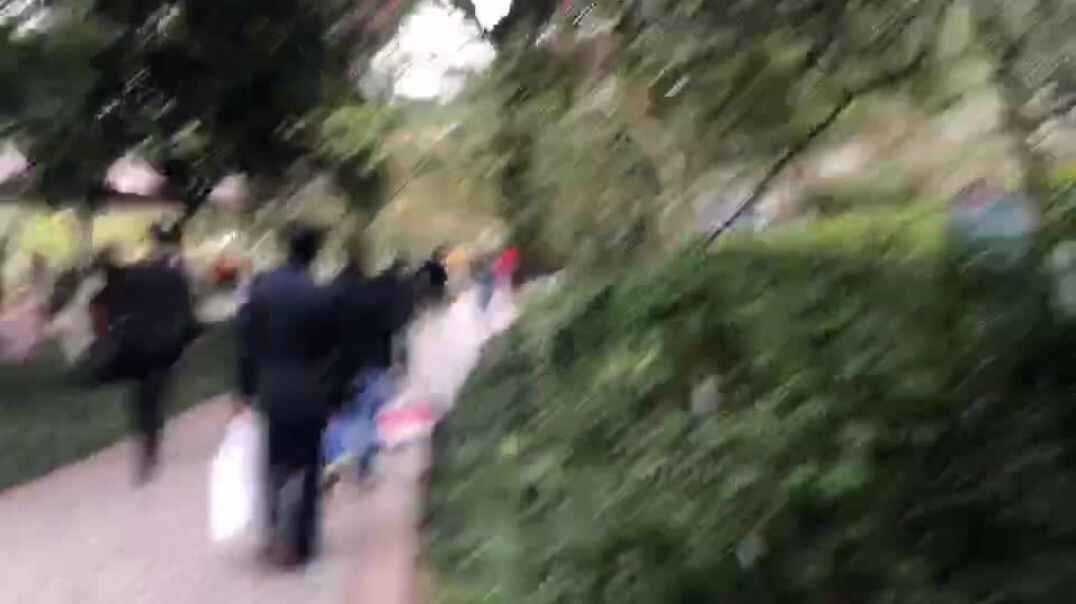 花园里都有什么花
