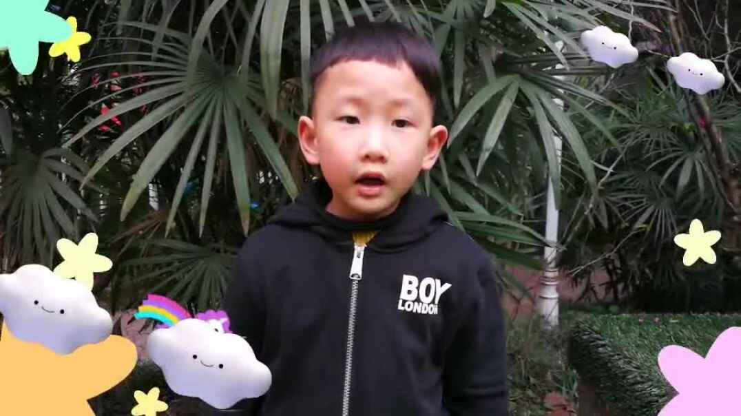 笔画书写