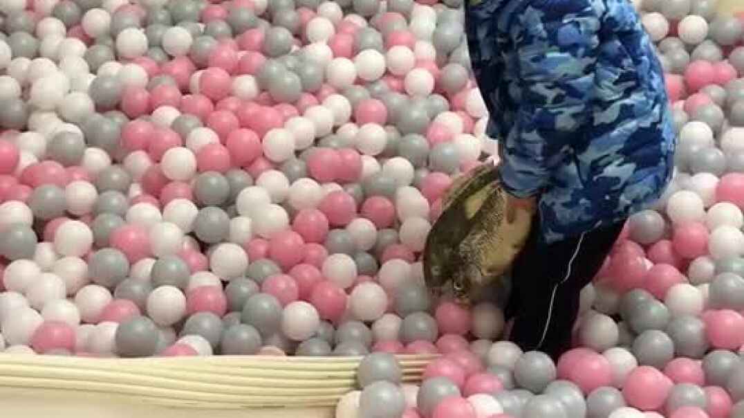 玩具的快乐