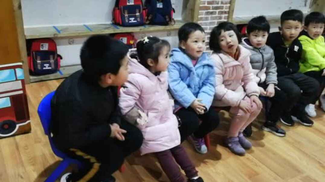 鲨鱼英语学习