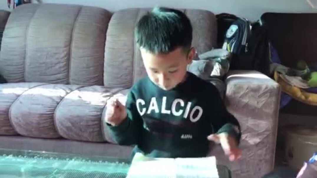 聪明又睿智