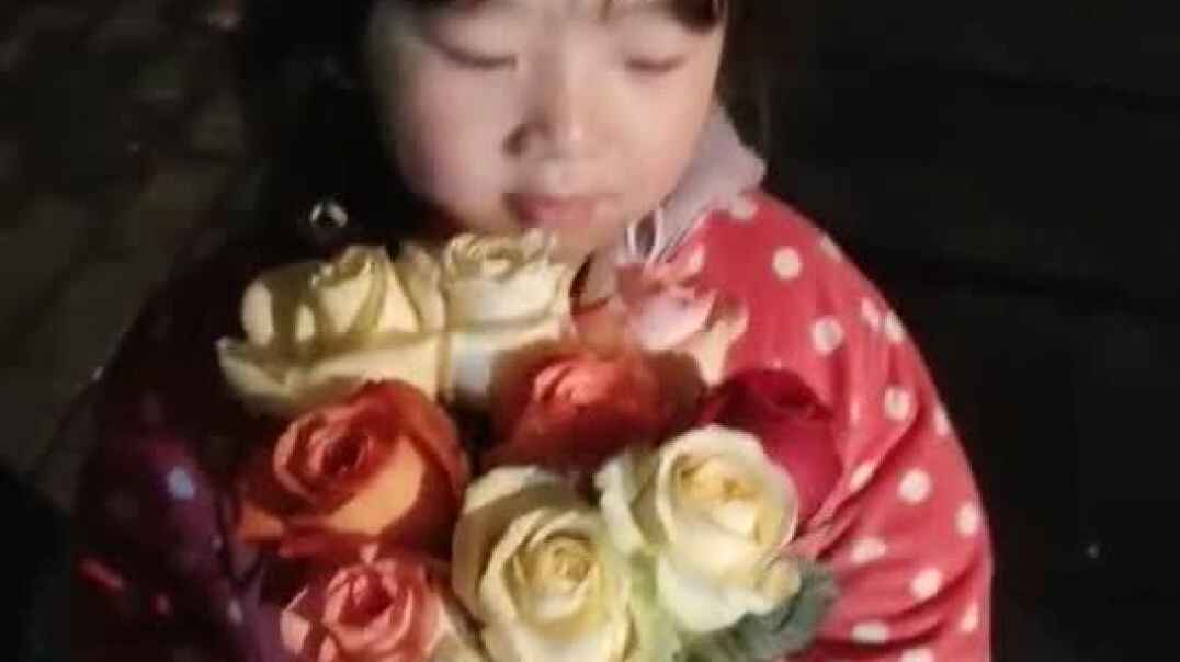 花与小女孩