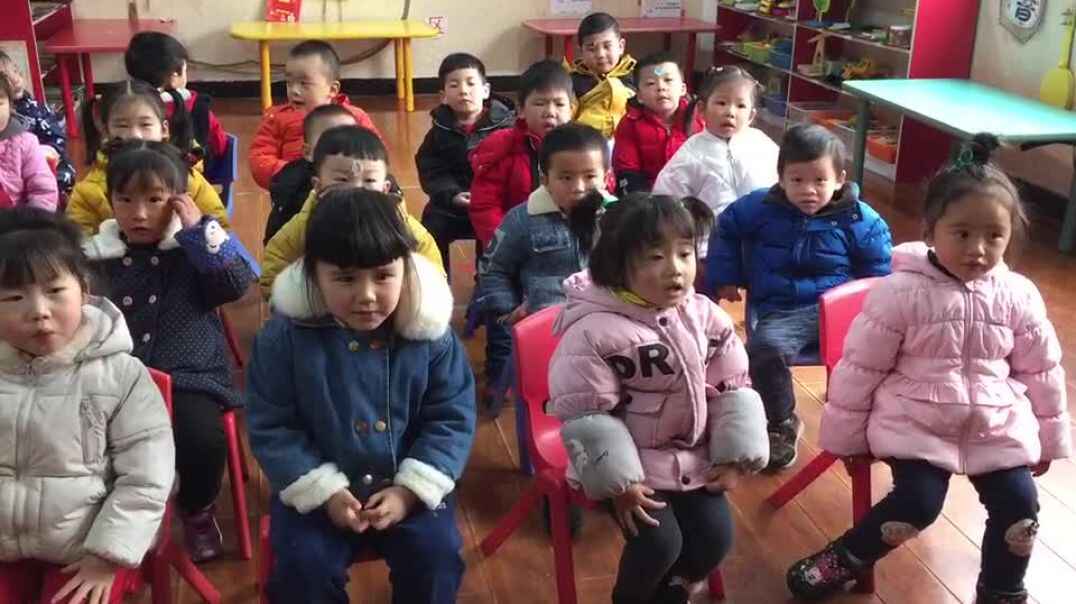 整齐的排排坐