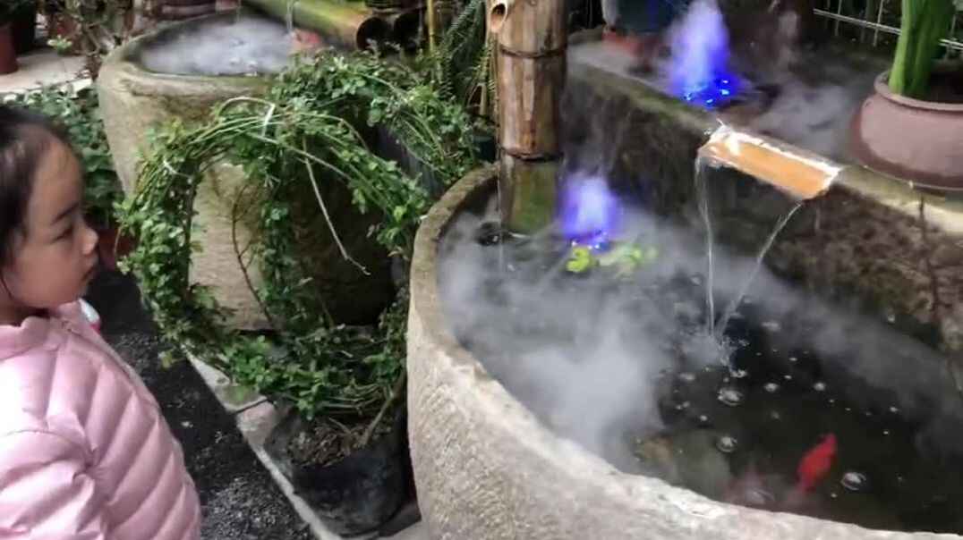 花儿与孩子