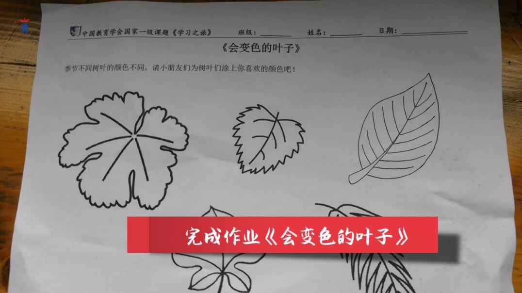 会变色的叶子