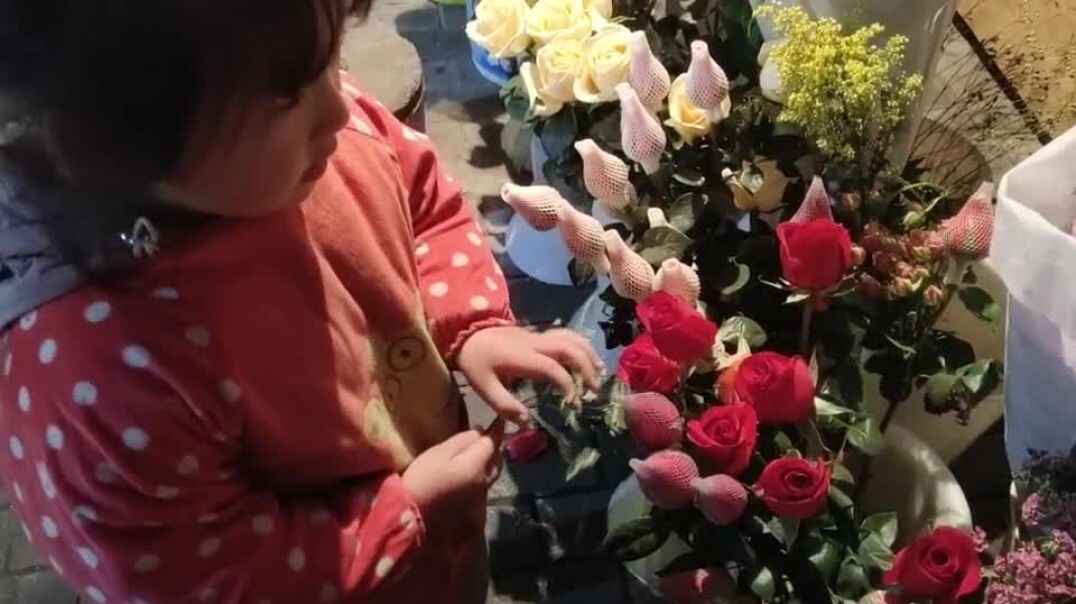 路边的小花花